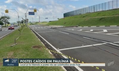 mastros, suportes, estruturas;
