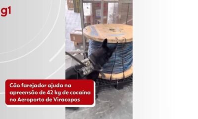 entorpecentes, drogas;