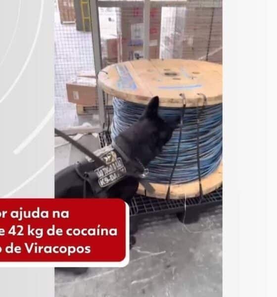 entorpecentes, drogas;
